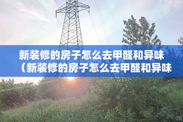新装修的房子怎么去甲醛和异味（新装修的房子怎么去甲醛和异味对小孩影响）