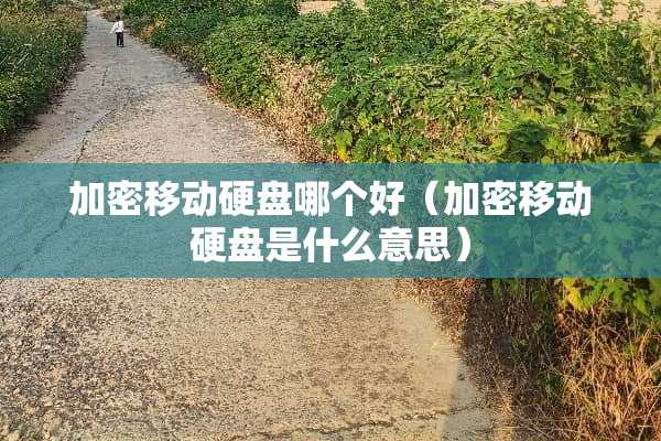 加密移动硬盘哪个好（加密移动硬盘是什么意思）