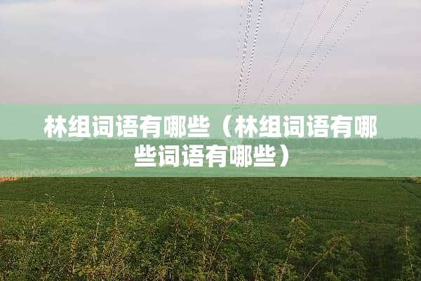 林组词语有哪些（林组词语有哪些词语有哪些）