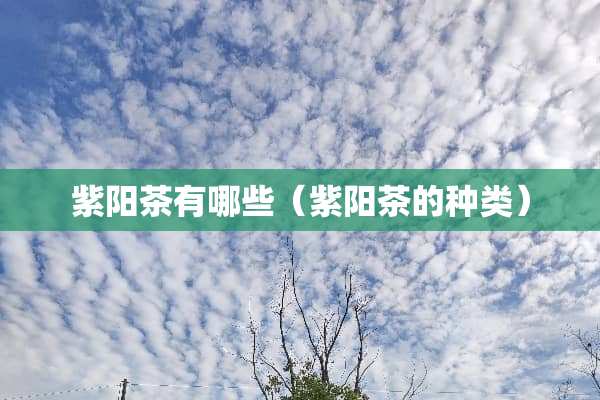 紫阳茶有哪些（紫阳茶的种类）