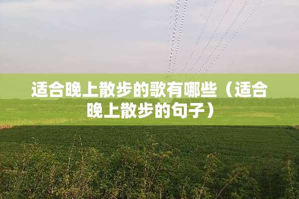 适合晚上散步的歌有哪些（适合晚上散步的句子）