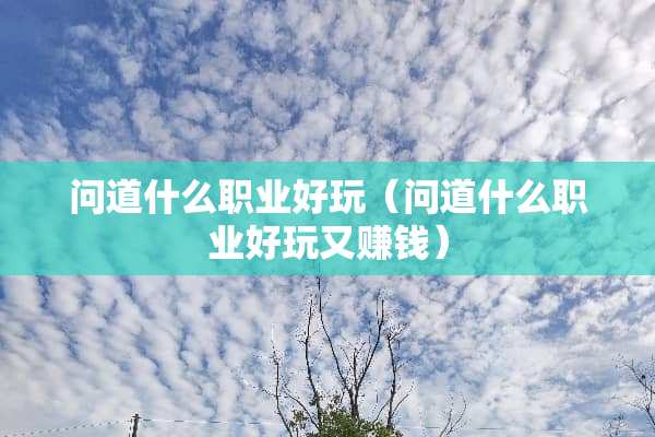 问道什么职业好玩（问道什么职业好玩又赚钱）