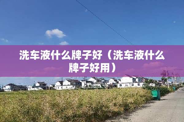 洗车液什么牌子好（洗车液什么牌子好用）