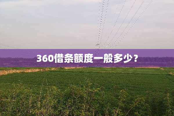 360借条额度一般多少？