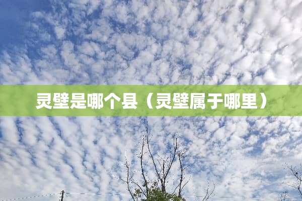 灵壁是哪个县（灵壁属于哪里）