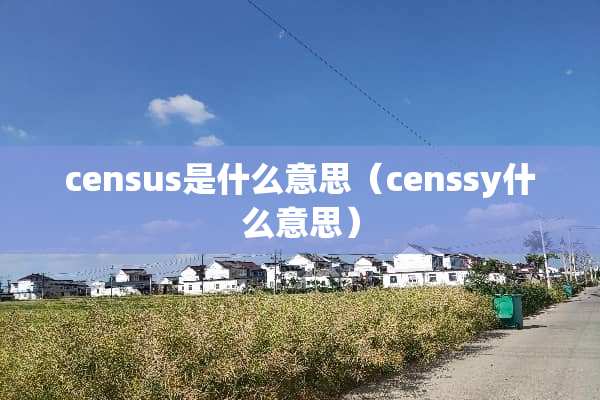 census是什么意思（censsy什么意思）