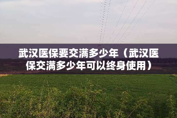 武汉医保要交满多少年（武汉医保交满多少年可以终身使用）