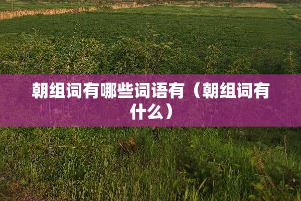 朝组词有哪些词语有（朝组词有什么）