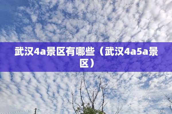 武汉4a景区有哪些（武汉4a5a景区）