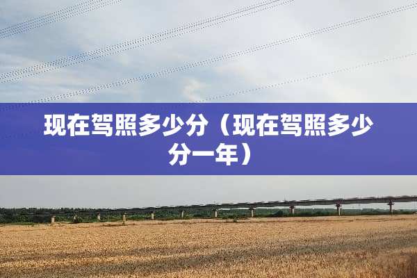 现在驾照多少分（现在驾照多少分一年）