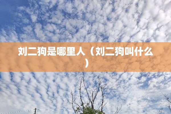 刘二狗是哪里人（刘二狗叫什么）