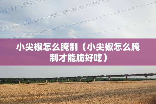 小尖椒怎么腌制（小尖椒怎么腌制才能脆好吃）