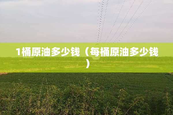 1桶原油多少钱（每桶原油多少钱）