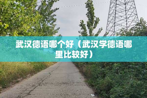 武汉德语哪个好（武汉学德语哪里比较好）