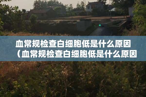 血常规检查白细胞低是什么原因（血常规检查白细胞低是什么原因?）