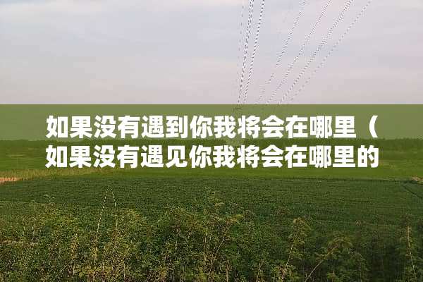 如果没有遇到你我将会在哪里（如果没有遇见你我将会在哪里的说说）