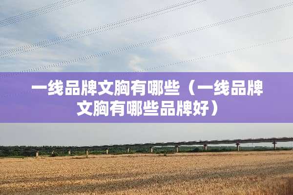 一线品牌文胸有哪些（一线品牌文胸有哪些品牌好）