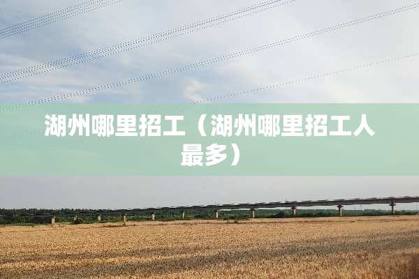 湖州哪里招工（湖州哪里招工人最多）