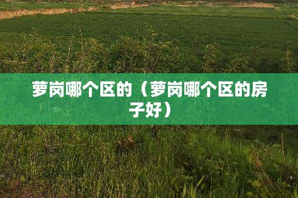 萝岗哪个区的（萝岗哪个区的房子好）