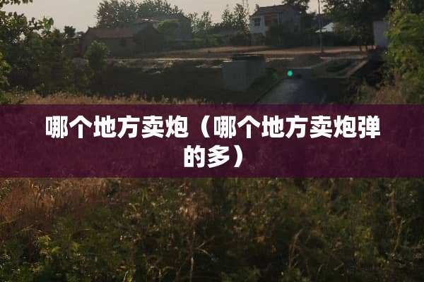 哪个地方卖*（哪个地方卖*弹的多）