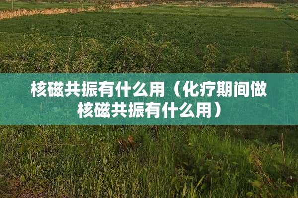 核磁共振有什么用（化疗期间做核磁共振有什么用）