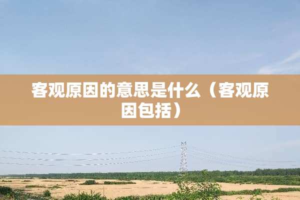 客观原因的意思是什么（客观原因包括）