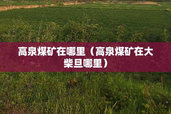 高泉煤矿在哪里（高泉煤矿在大柴旦哪里）