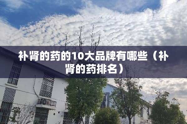 补肾的药的10大品牌有哪些（补肾的药排名）