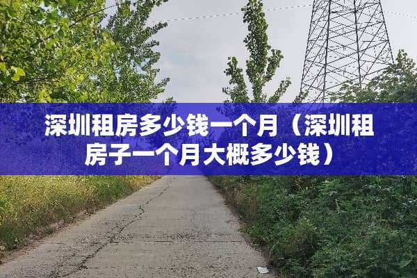 深圳租房多少钱一个月（深圳租房子一个月大概多少钱）