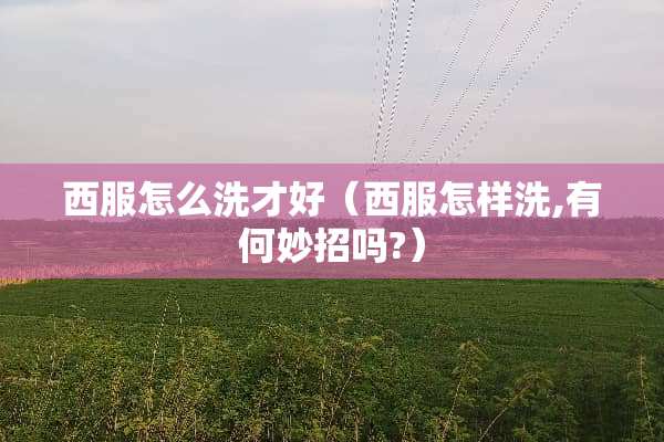 西服怎么洗才好（西服怎样洗,有何妙招吗?）