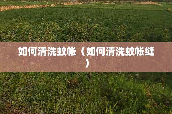 如何清洗蚊帐（如何清洗蚊帐缝）