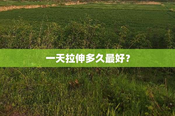 一天拉伸多久最好？