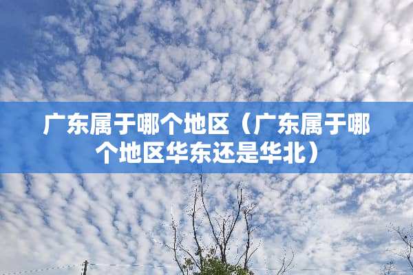 广东属于哪个地区（广东属于哪个地区华东还是华北）