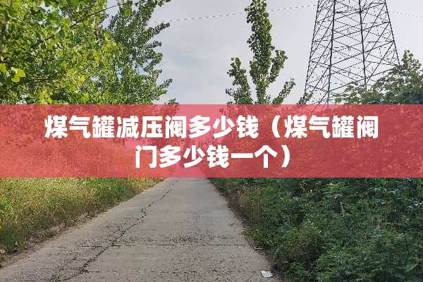 煤气罐减压阀多少钱（煤气罐阀门多少钱一个）