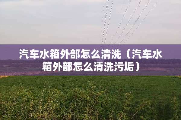 汽车水箱外部怎么清洗（汽车水箱外部怎么清洗污垢）