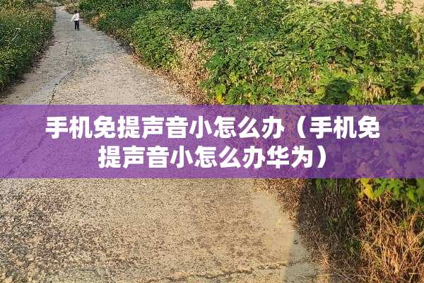 手机免提声音小怎么办（手机免提声音小怎么办华为）