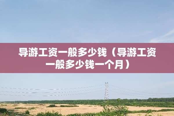 导游工资一般多少钱（导游工资一般多少钱一个月）