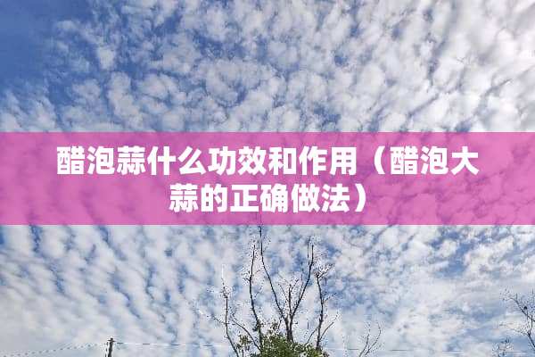 醋泡蒜什么功效和作用（醋泡大蒜的正确做法）