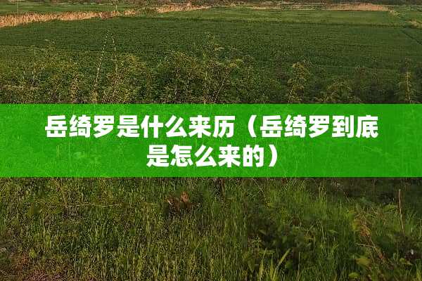 岳绮罗是什么来历（岳绮罗到底是怎么来的）