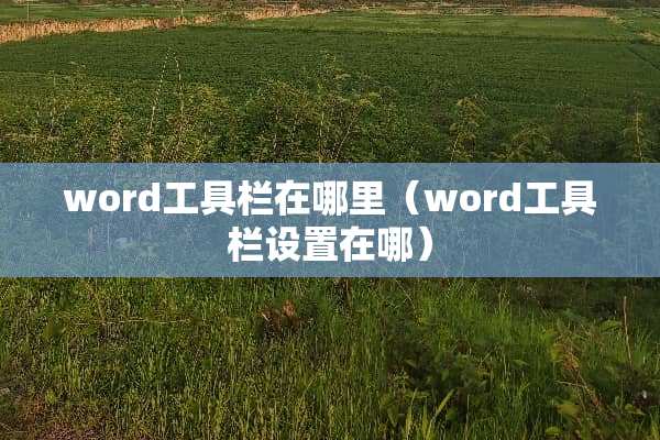 word工具栏在哪里（word工具栏设置在哪）