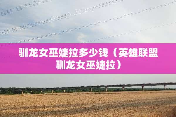 驯龙女巫婕拉多少钱（英雄联盟驯龙女巫婕拉）