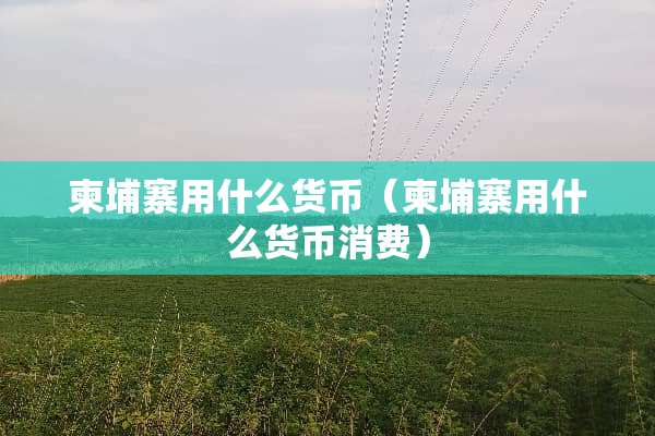 柬埔寨用什么货币（柬埔寨用什么货币消费）
