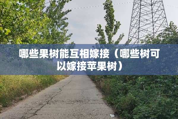 哪些果树能互相嫁接（哪些树可以嫁接苹果树）