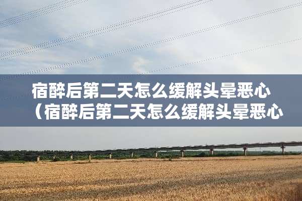 宿醉后第二天怎么缓解头晕恶心（宿醉后第二天怎么缓解头晕恶心呕吐）