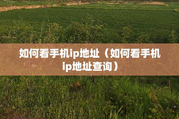 如何看手机ip地址（如何看手机ip地址查询）