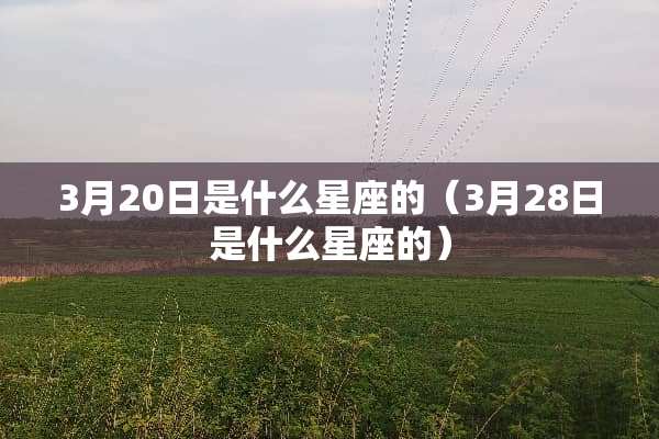 3月20日是什么星座的（3月28日是什么星座的）