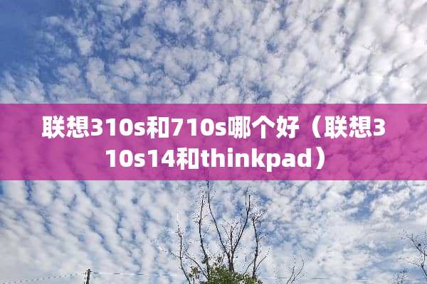 联想310s和710s哪个好（联想310s14和thinkpad）