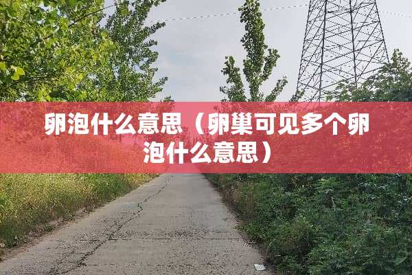 卵泡什么意思（卵巢可见多个卵泡什么意思）