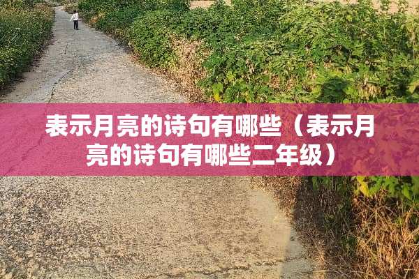表示月亮的诗句有哪些（表示月亮的诗句有哪些二年级）
