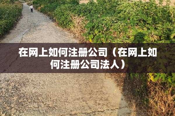 在网上如何注册公司（在网上如何注册公司法人）